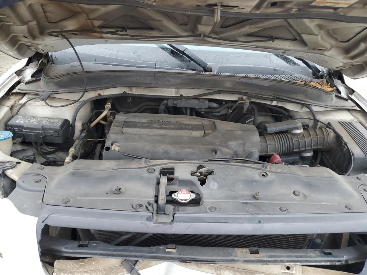 2004 Honda Pilot - Image 12