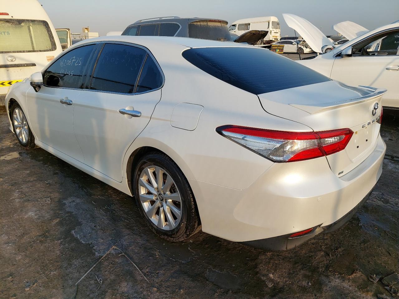 JTNBF4HK5K3020486 - 2019 Toyota CAMRY - #46206725