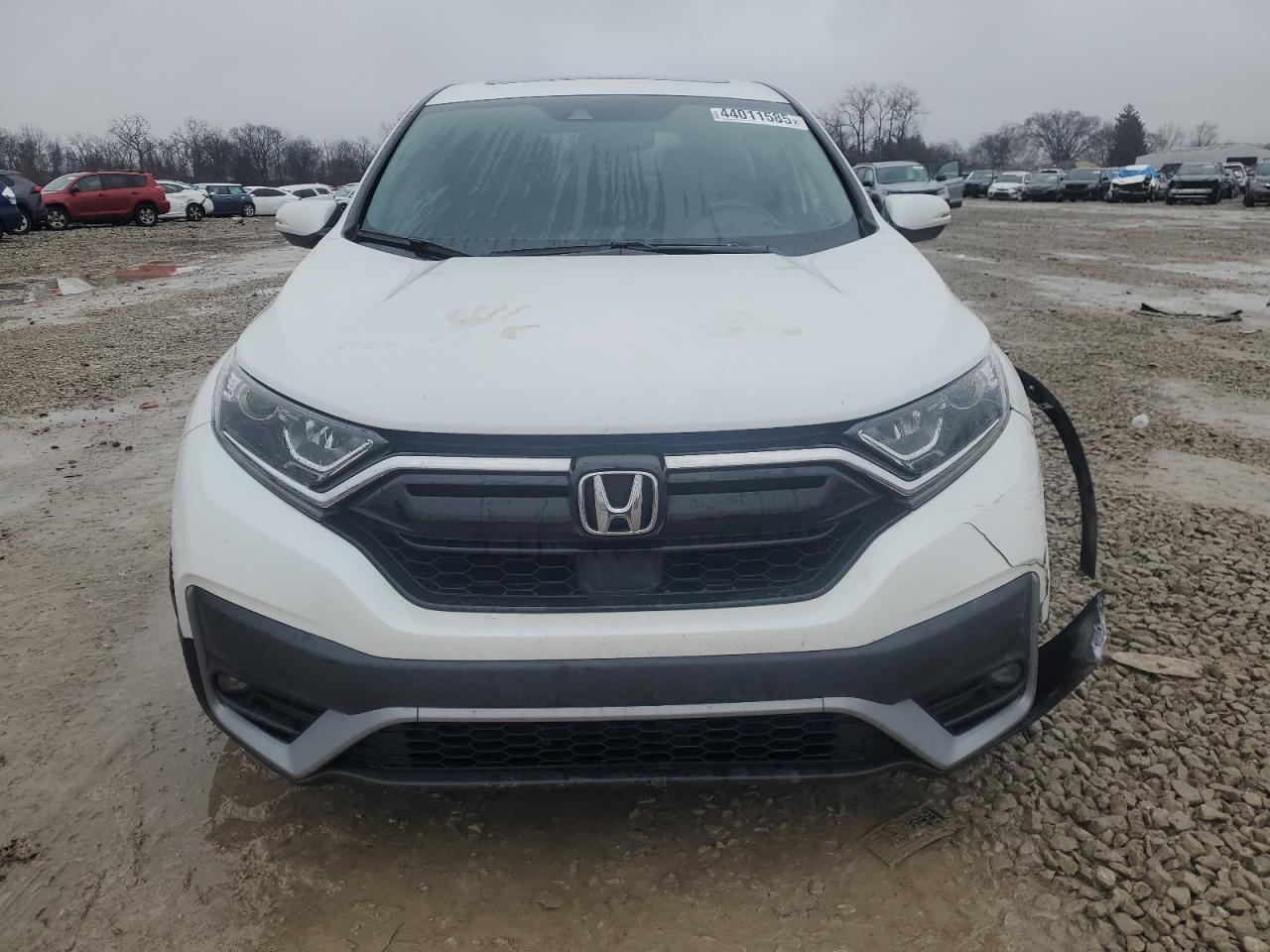 2021 Honda CR-V - Image 5