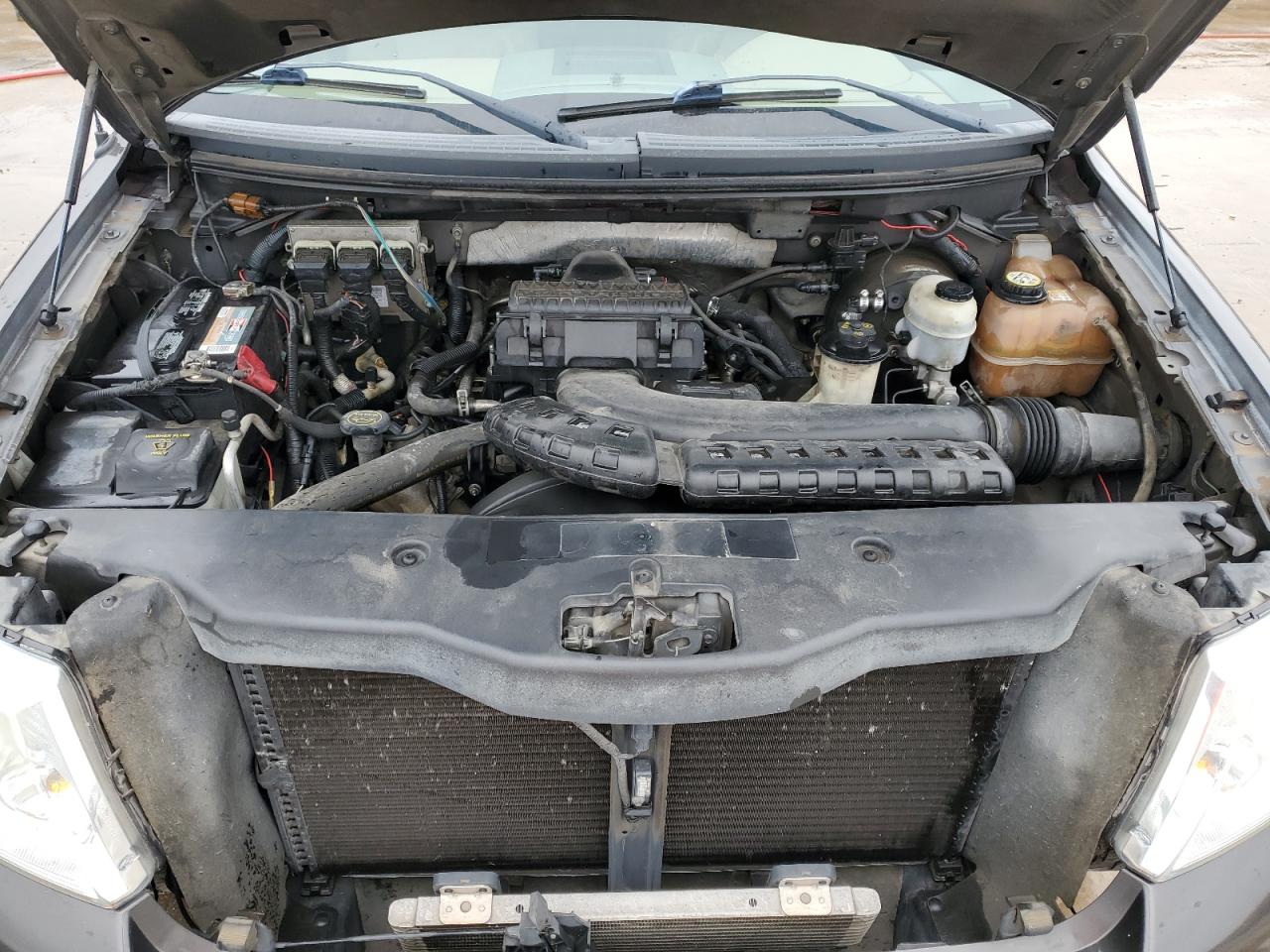 2006 Ford F150 Supercrew VIN: 1FTPW12V46KC53914 Lot: 45020315