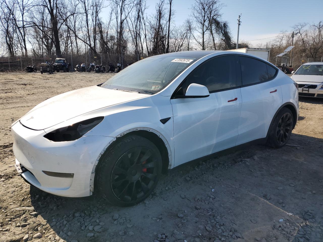 2020 Tesla Model Y на продаже в Baltimore, MD - Front End