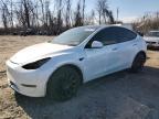 2020 Tesla Model Y  на продаже в Baltimore, MD - Front End
