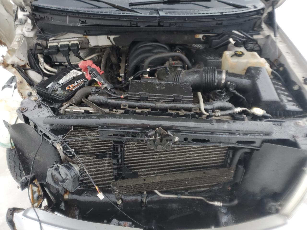 2010 Ford F-150 - Image 13