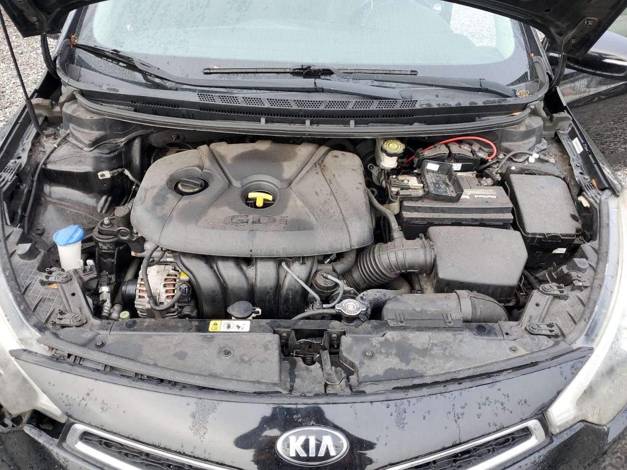 2014 Kia Forte Ex VIN: KNAFX6A8XE5194413 Lot: 41970275