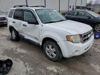 Lawrenceburg, KY에서 판매 중인 2008 Ford Escape Xlt - All Over