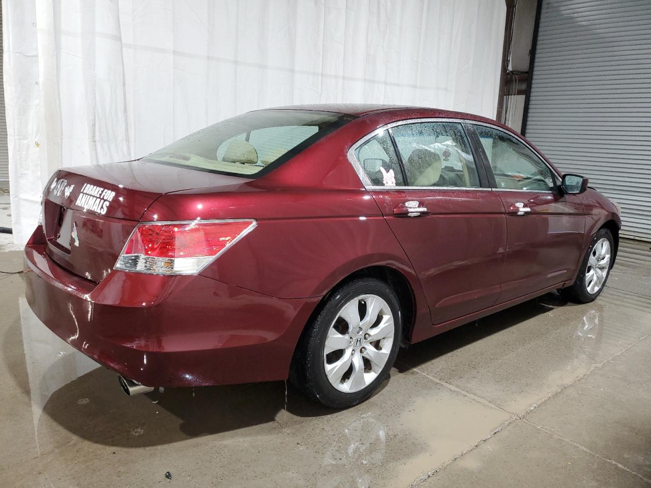 2010 Honda Accord - Image 3