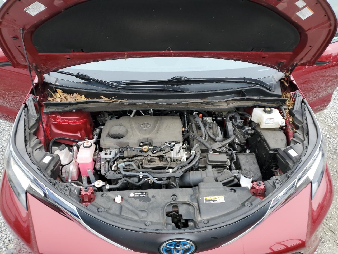 2021 Toyota Sienna - Image 12