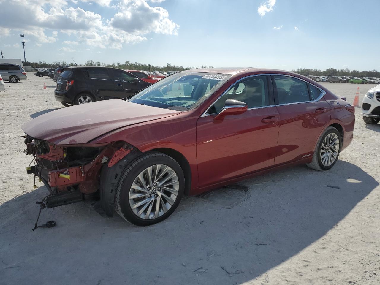 2021 Lexus ES - Image 1