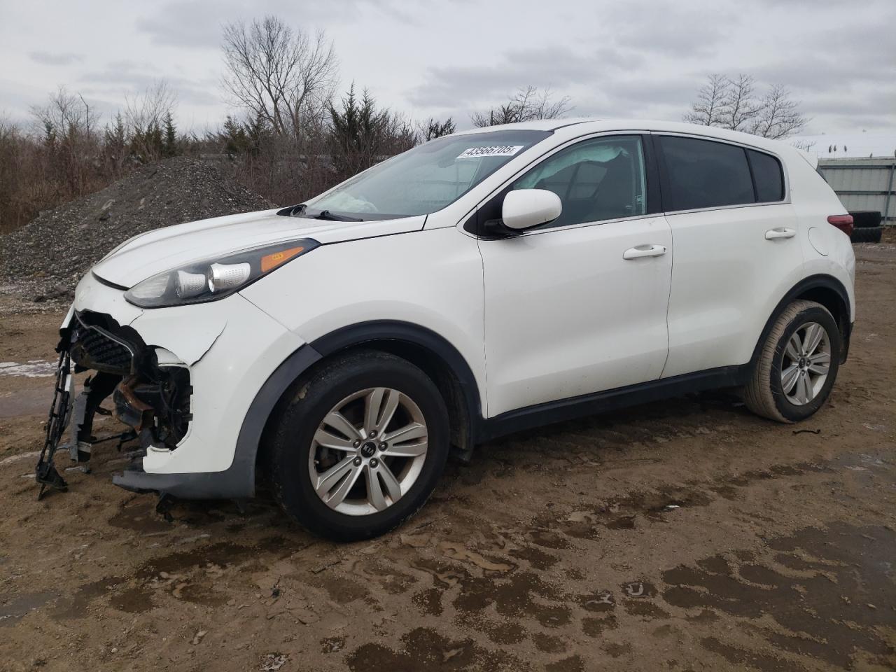 2017 Kia Sportage - Image 1