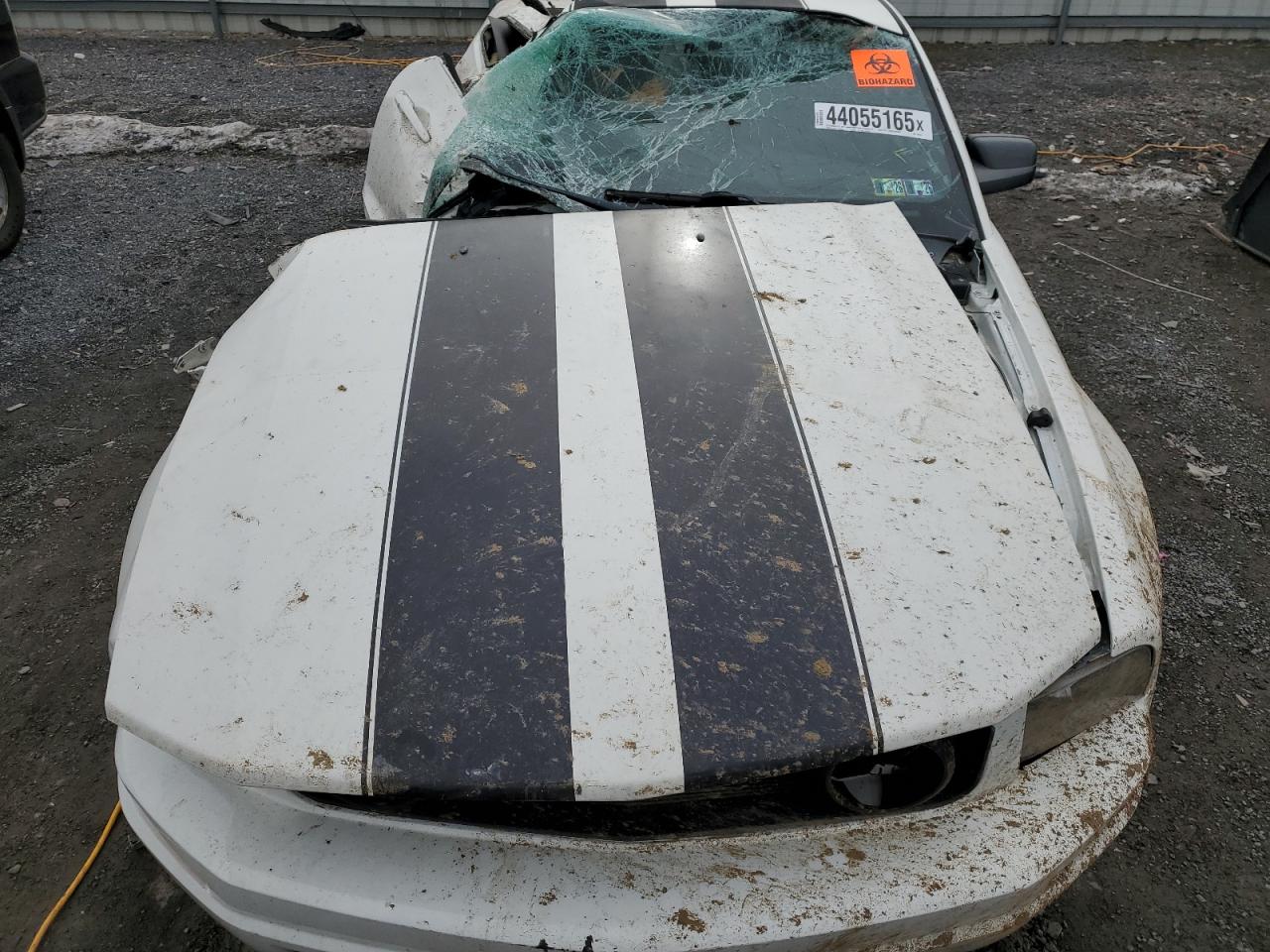 2007 Ford Mustang VIN: 1ZVFT80N275346525 Lot: 44055165