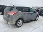 2013 Ford Escape Se zu verkaufen in Davison, MI - Front End