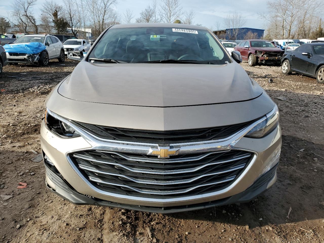 2023 Chevrolet Malibu - Image 5