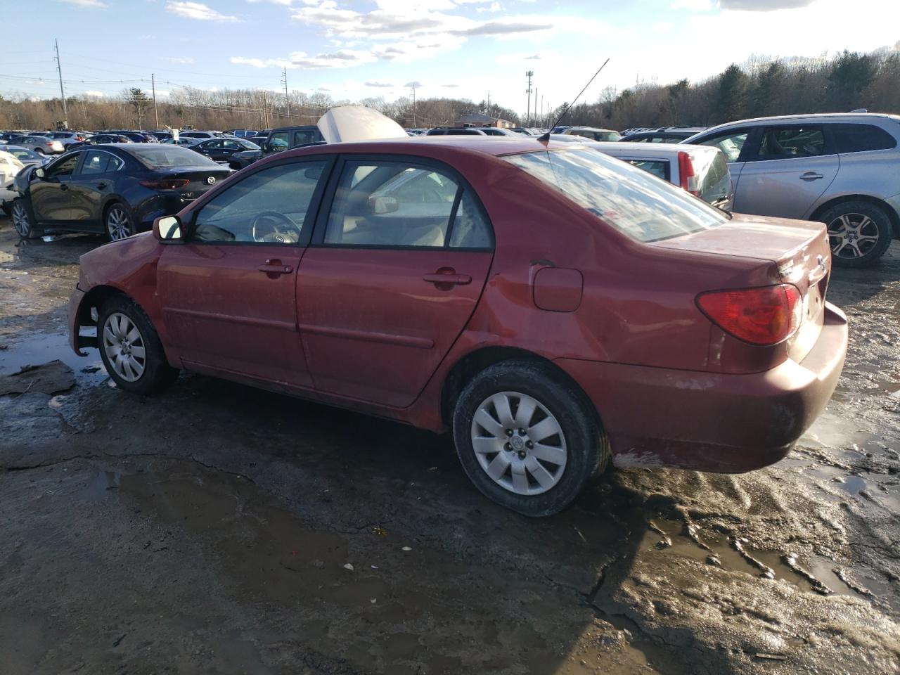 2004 Toyota Corolla - Image 2