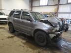 2007 FORD ESCAPE LIMITED for sale at Copart AB - EDMONTON