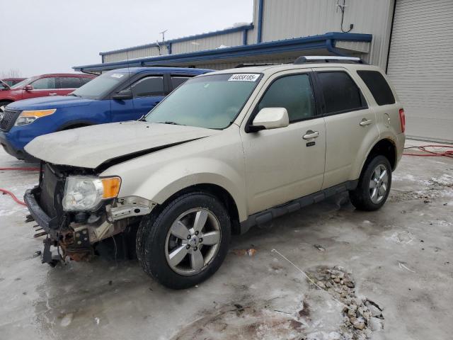 2010 Ford Escape Limited