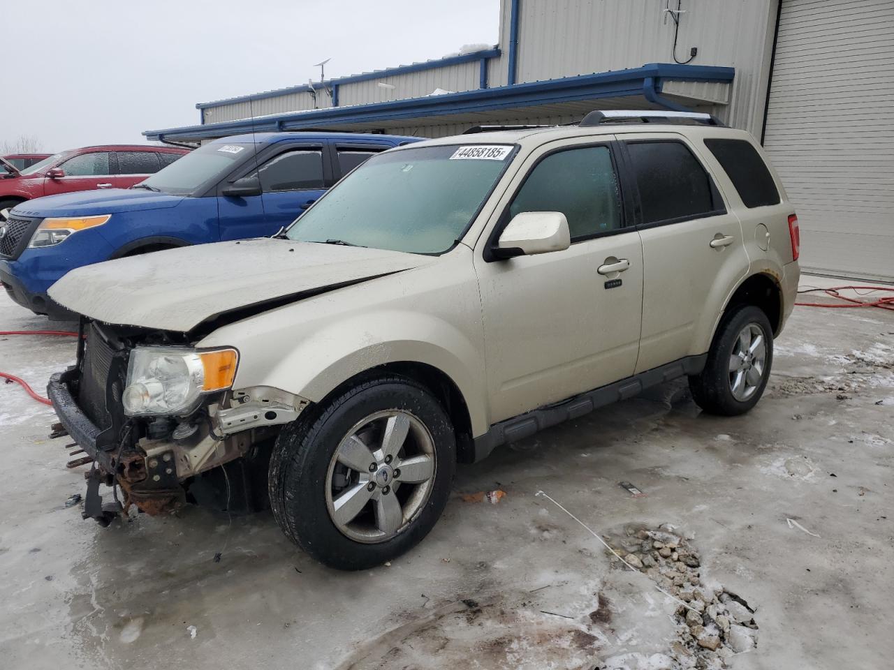 2010 Ford Escape Limited за продажба в Wayland, MI - Front End