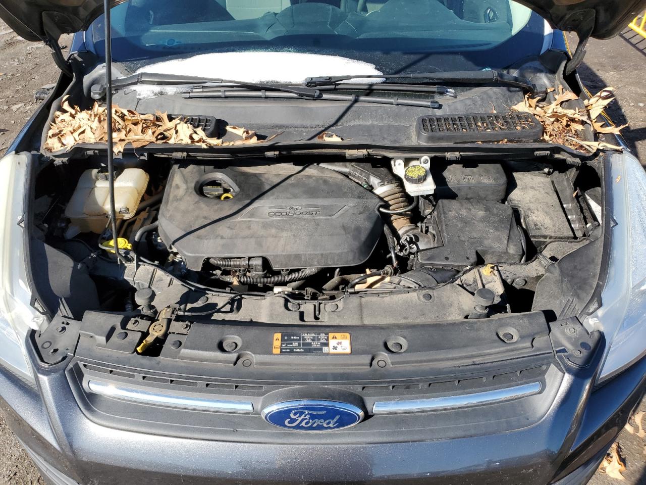 2016 Ford Escape - Image 12