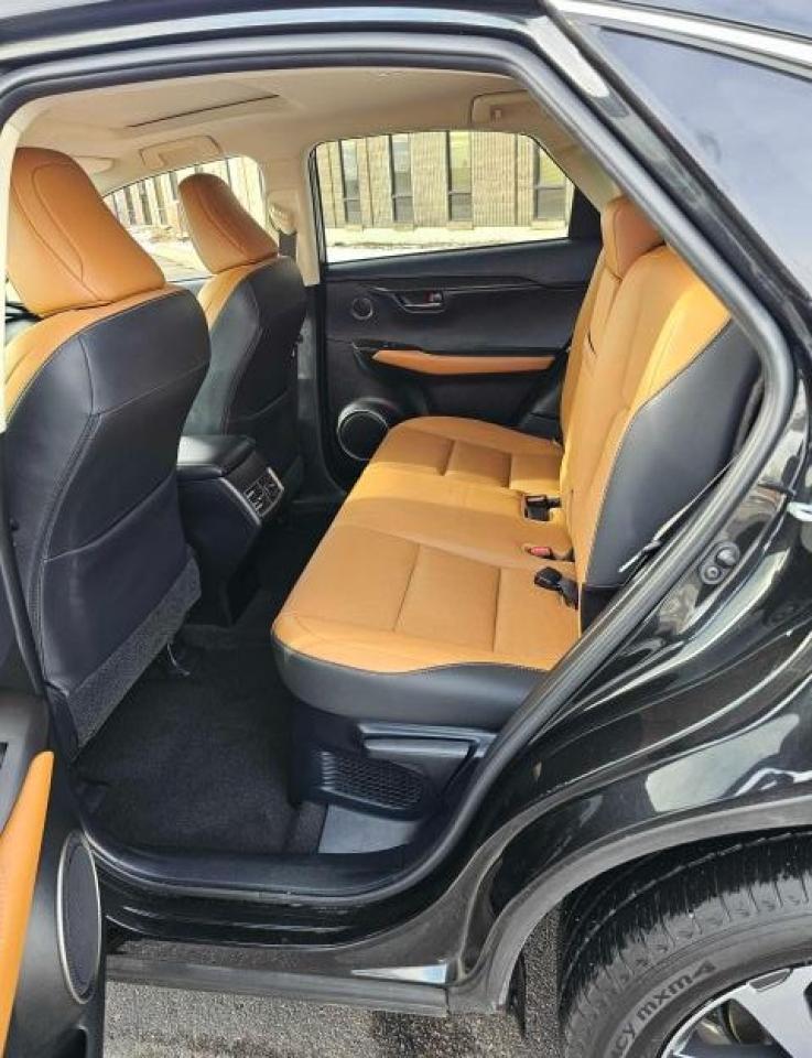 2020 Lexus Nx 300H VIN: JTJGJRDZ6L5007340 Lot: 45057855
