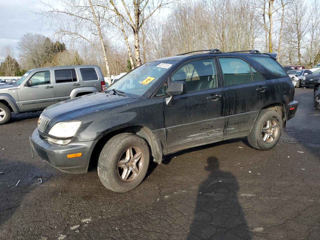 2002 Lexus RX - Image 1