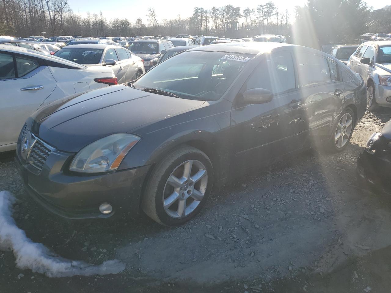 Waldorf, MD에서 판매 중인 2006 Nissan Maxima Se - Front End