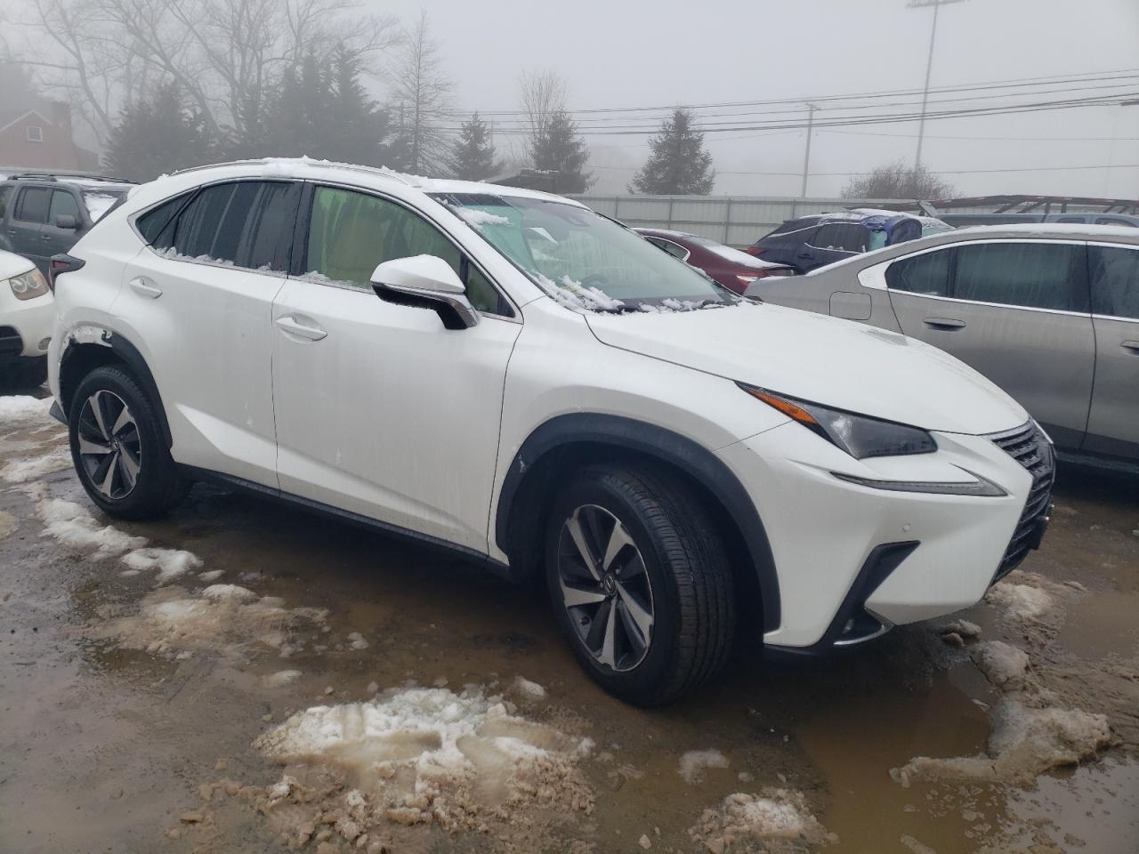 2019 Lexus NX - Image 4