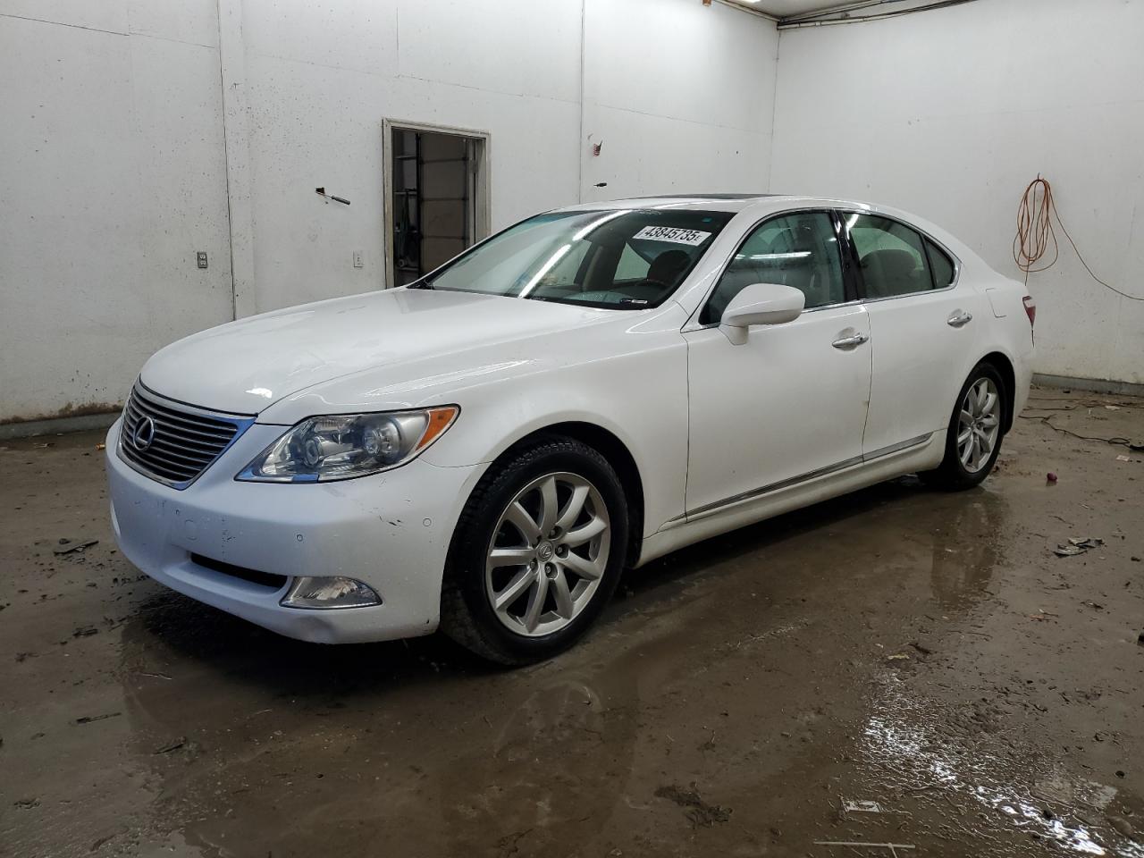2008 Lexus LS - Image 1