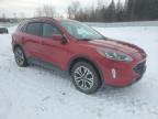 Leroy, NY에서 판매 중인 2020 Ford Escape Sel - Front End
