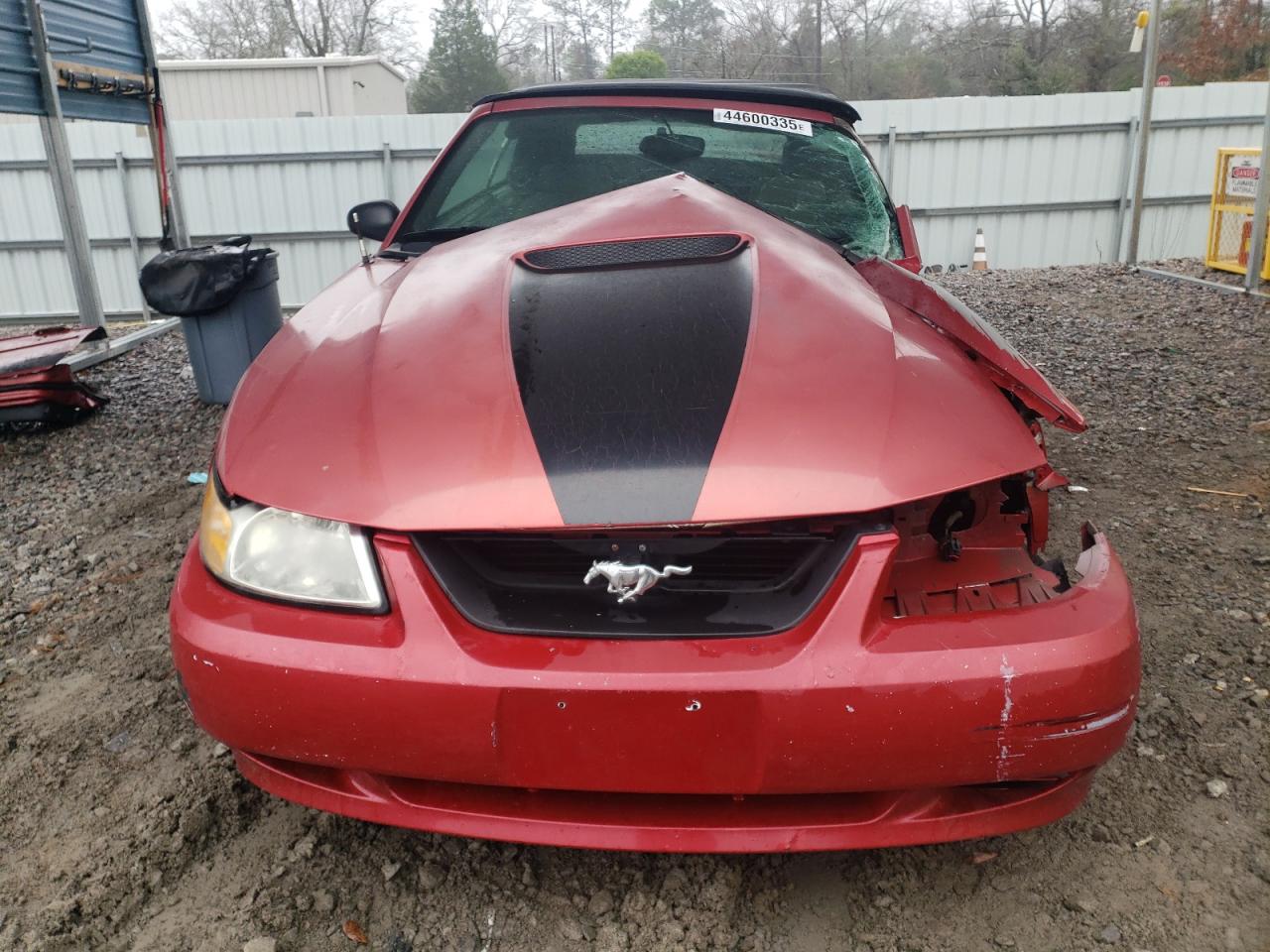 2000 Ford Mustang - Image 5