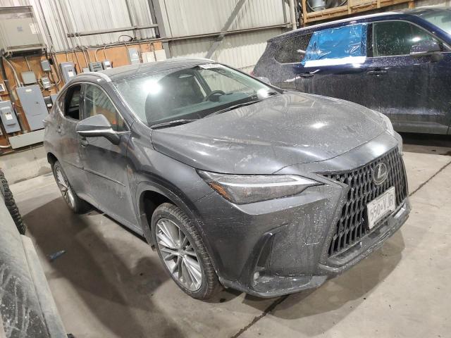 2025 LEXUS NX 350H BASE