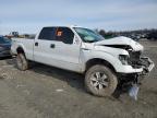 2013 Ford F150 Supercrew zu verkaufen in Cahokia Heights, IL - Front End