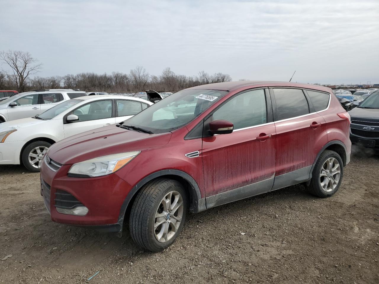 2013 Ford Escape - Image 1