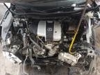 2019 Lexus Rx 350 L for Sale in Ham Lake, MN - All Over