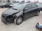2010 Toyota Corolla Base de vânzare în Walton, KY - Front End