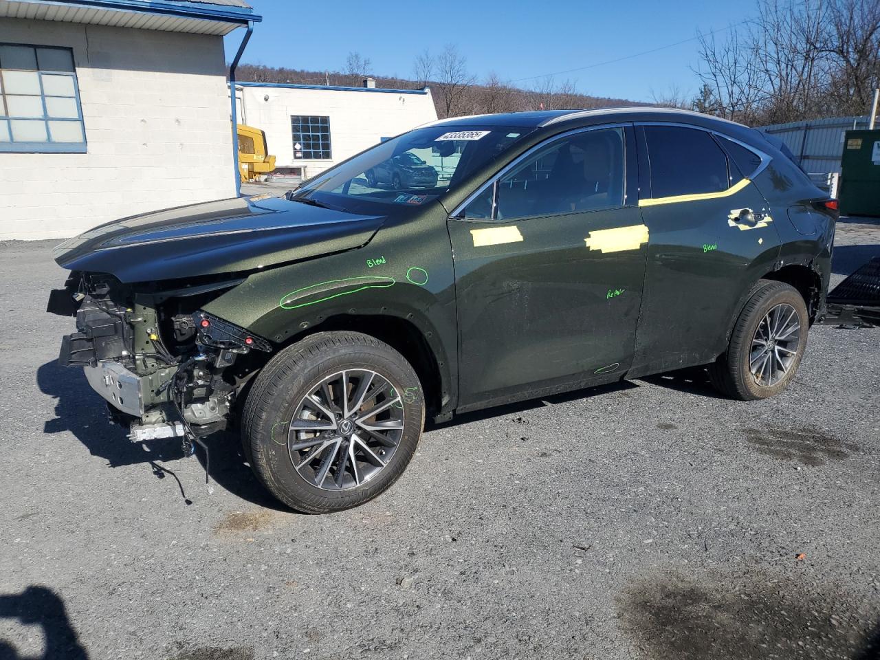 2023 Lexus NX - Image 1