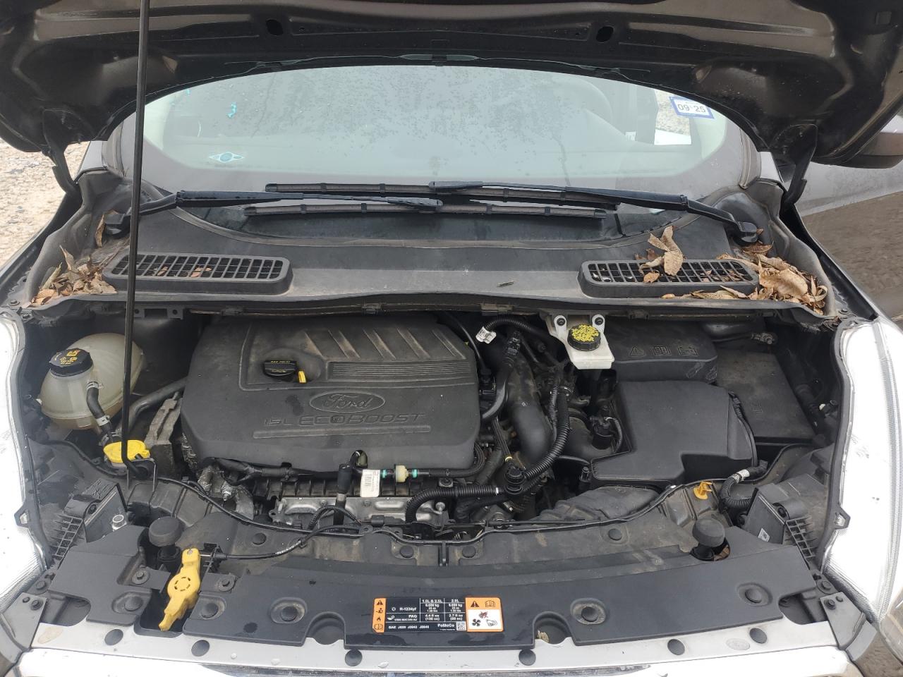 2017 Ford Escape - Image 12