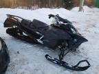 2023 SKIDOO EXPEDITION for sale at Copart QC - MONTREAL