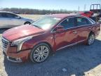 2019 Cadillac Xts Luxury იყიდება Memphis-ში, TN - All Over
