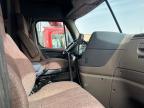 2014 Freightliner Cascadia 125  de vânzare în Anthony, TX - Minor Dent/Scratches