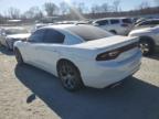 2015 Dodge Charger Sxt for Sale in Spartanburg, SC - Side