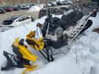 2024 Skidoo Backcountr na sprzedaż w Candia, NH - Front End