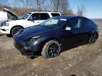 2024 Tesla Model Y  na sprzedaż w Marlboro, NY - Front End