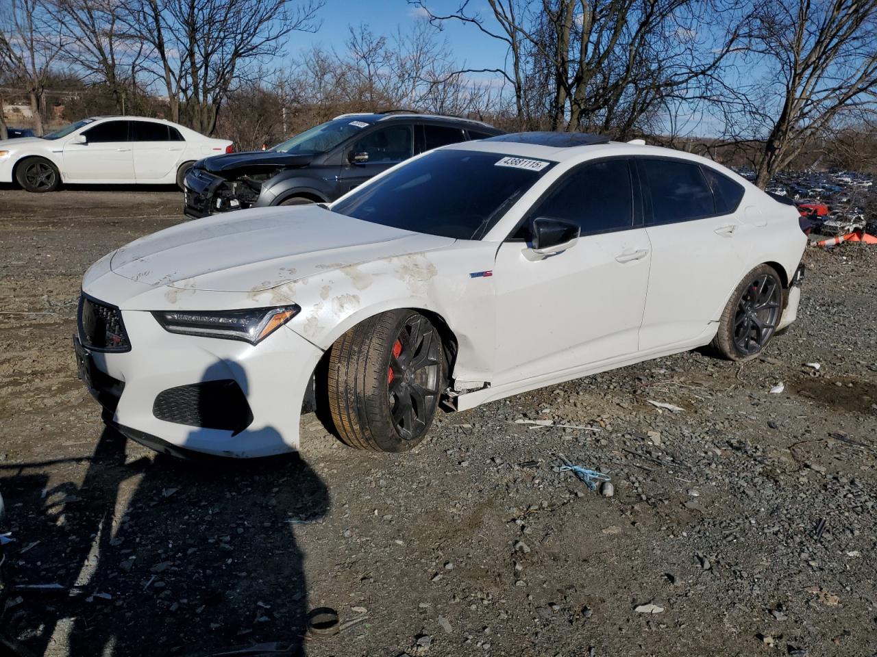 2023 Acura Tlx Type S zu verkaufen in Baltimore, MD - All Over