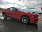 2013 Ford Mustang  for Sale in Lebanon, TN - Rear End