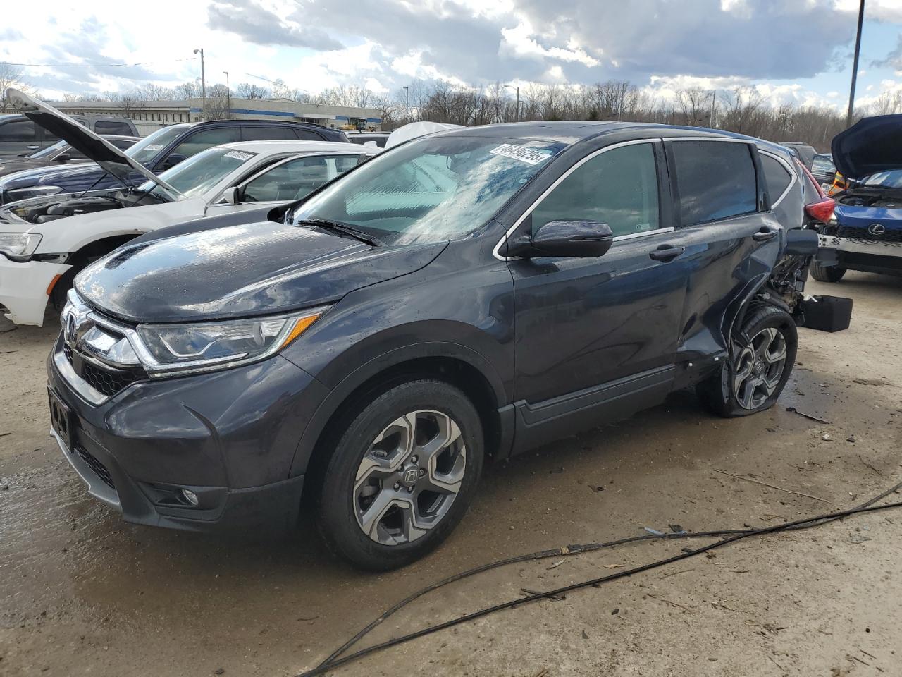 Louisville, KY에서 판매 중인 2019 Honda Cr-V Exl - Rear End