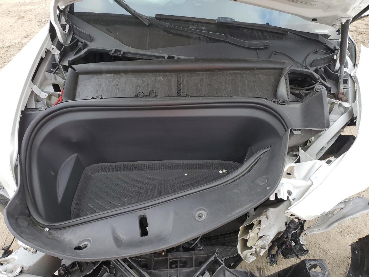 2023 Tesla Model Y VIN: 7SAYGDEE3PA089326 Lot: 44056345