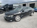 2012 Lexus Es 350 იყიდება Fort Pierce-ში, FL - Side