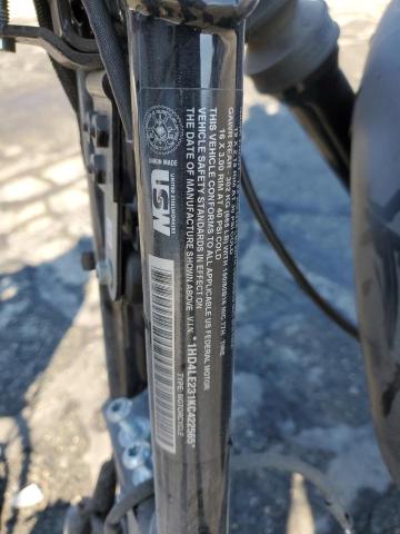 2019 HARLEY-DAVIDSON XL883 N