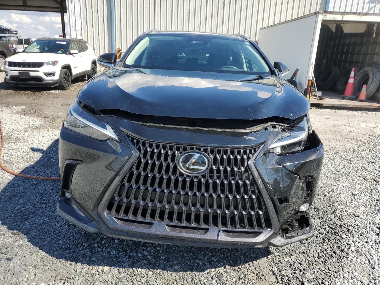 2023 Lexus NX - Image 5