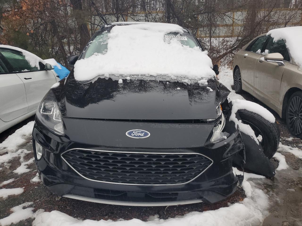 2021 Ford Escape - Image 5