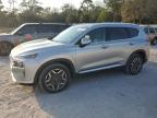Fort Pierce, FL에서 판매 중인 2023 Hyundai Santa Fe Limited - Side